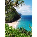 Aviary Stock Photo 1.png